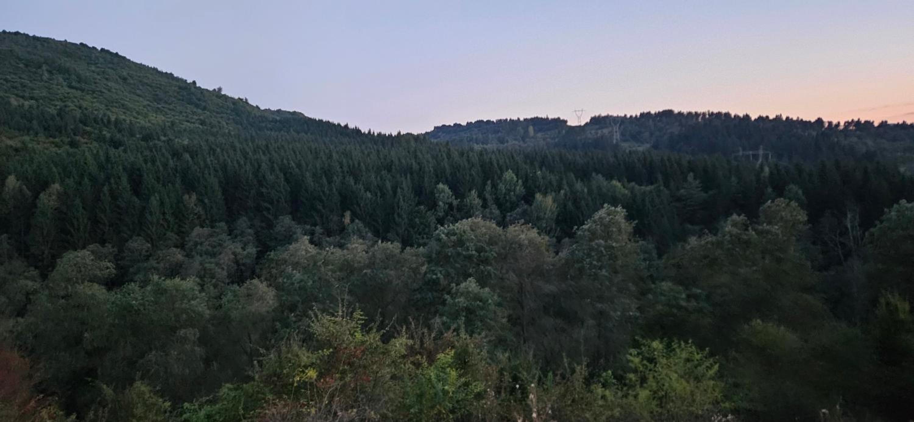 Forest House Doftana