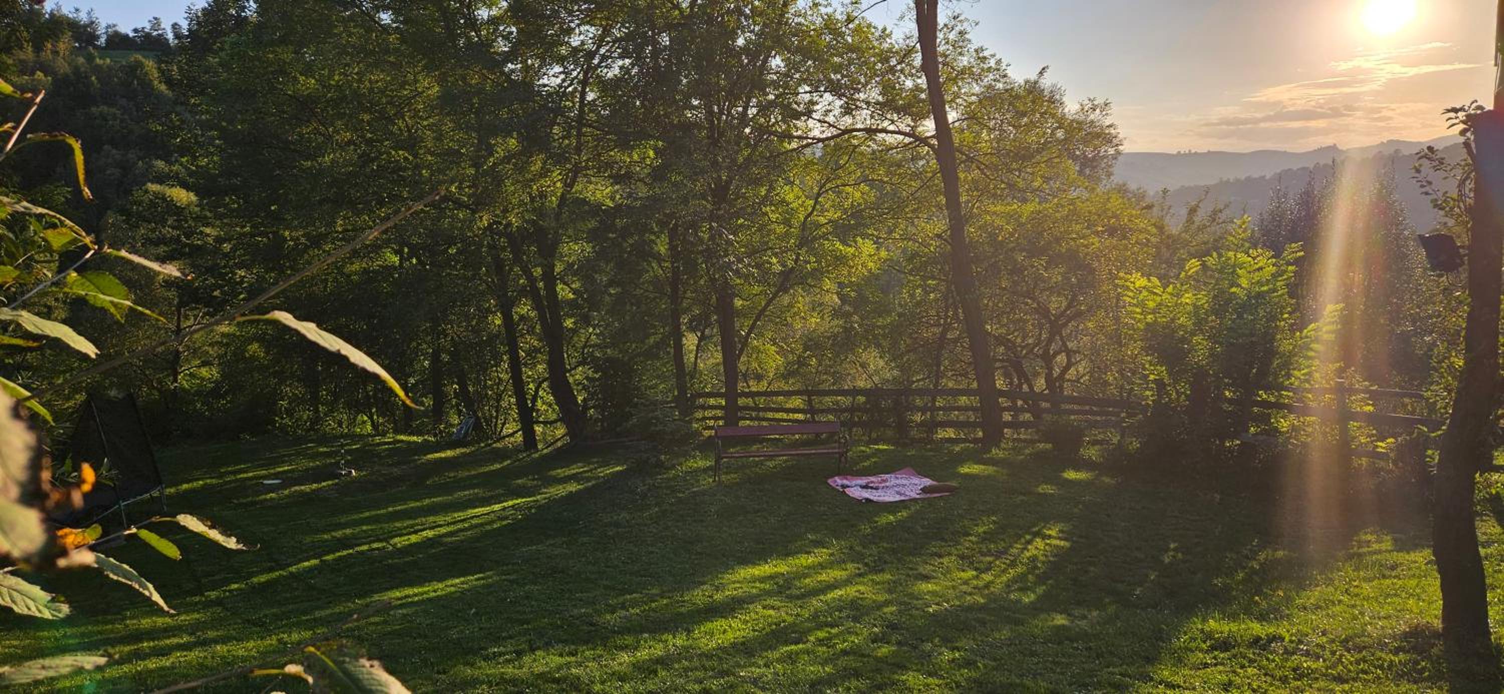Forest House Doftana