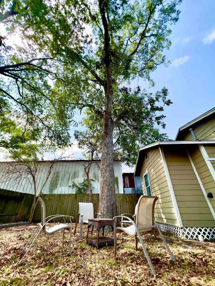 Tiny House in Downtown Texas view 3