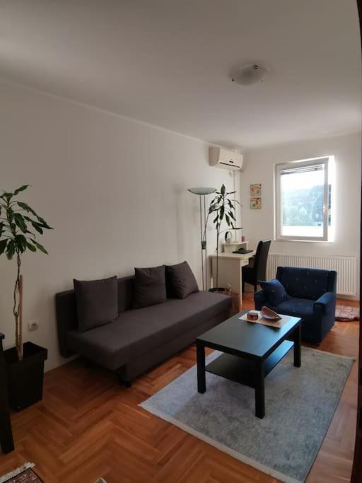 Apartman Luminii