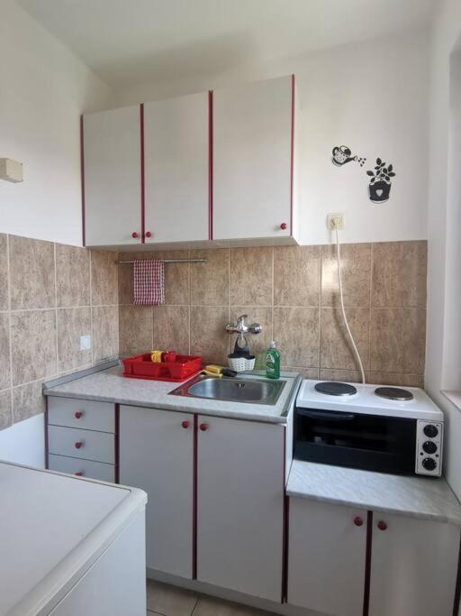 Apartman Luminii