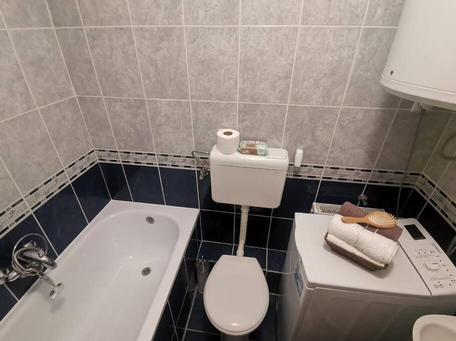 Apartman Luminii