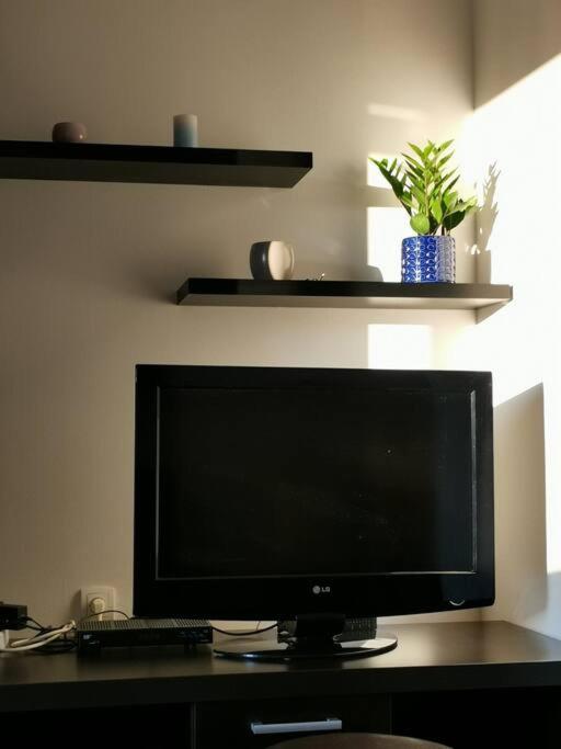 Apartman Luminii