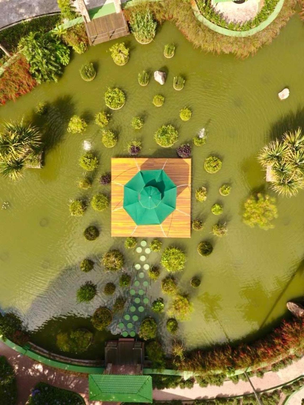 Unique Garden