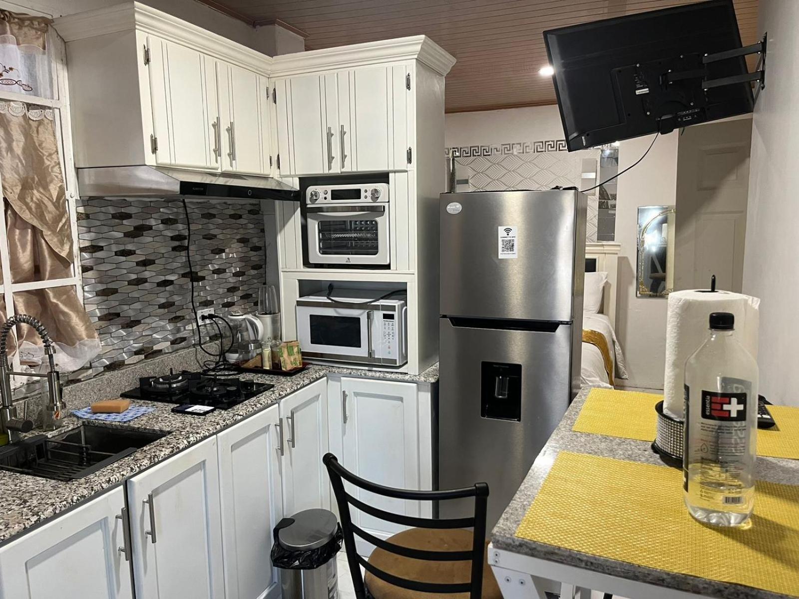 Odyssey Suites Loft Apartment