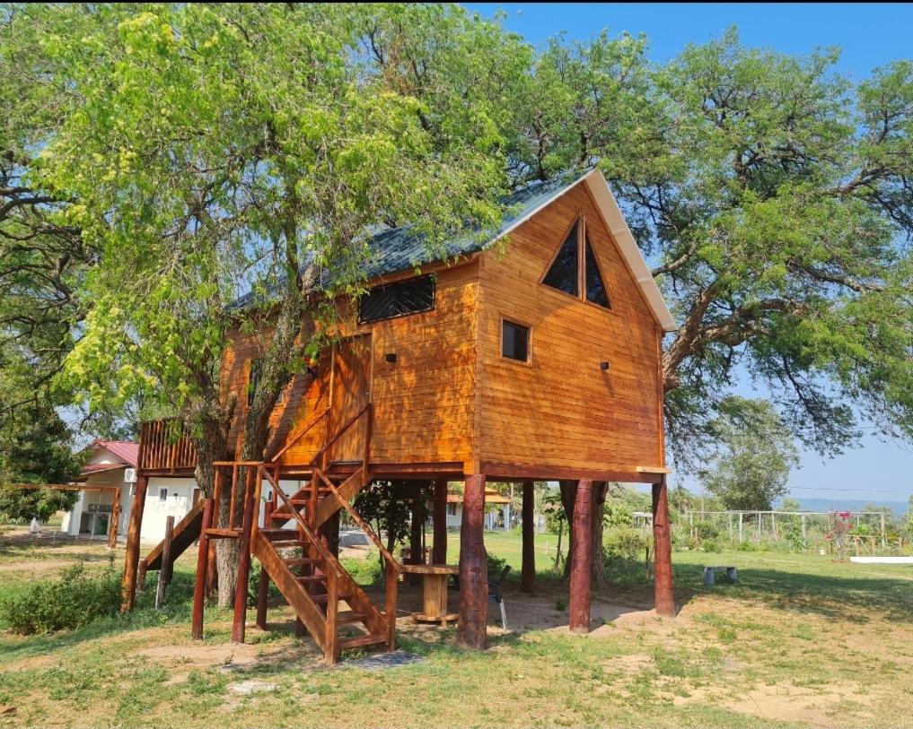 Haasienda - Nido del Colibri - Casa de Arbol view 4
