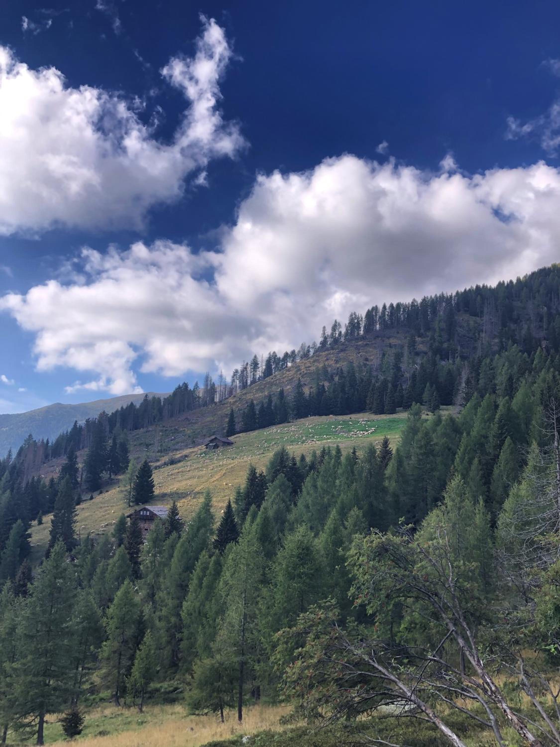 Alloggio Turistico La Predòlcia