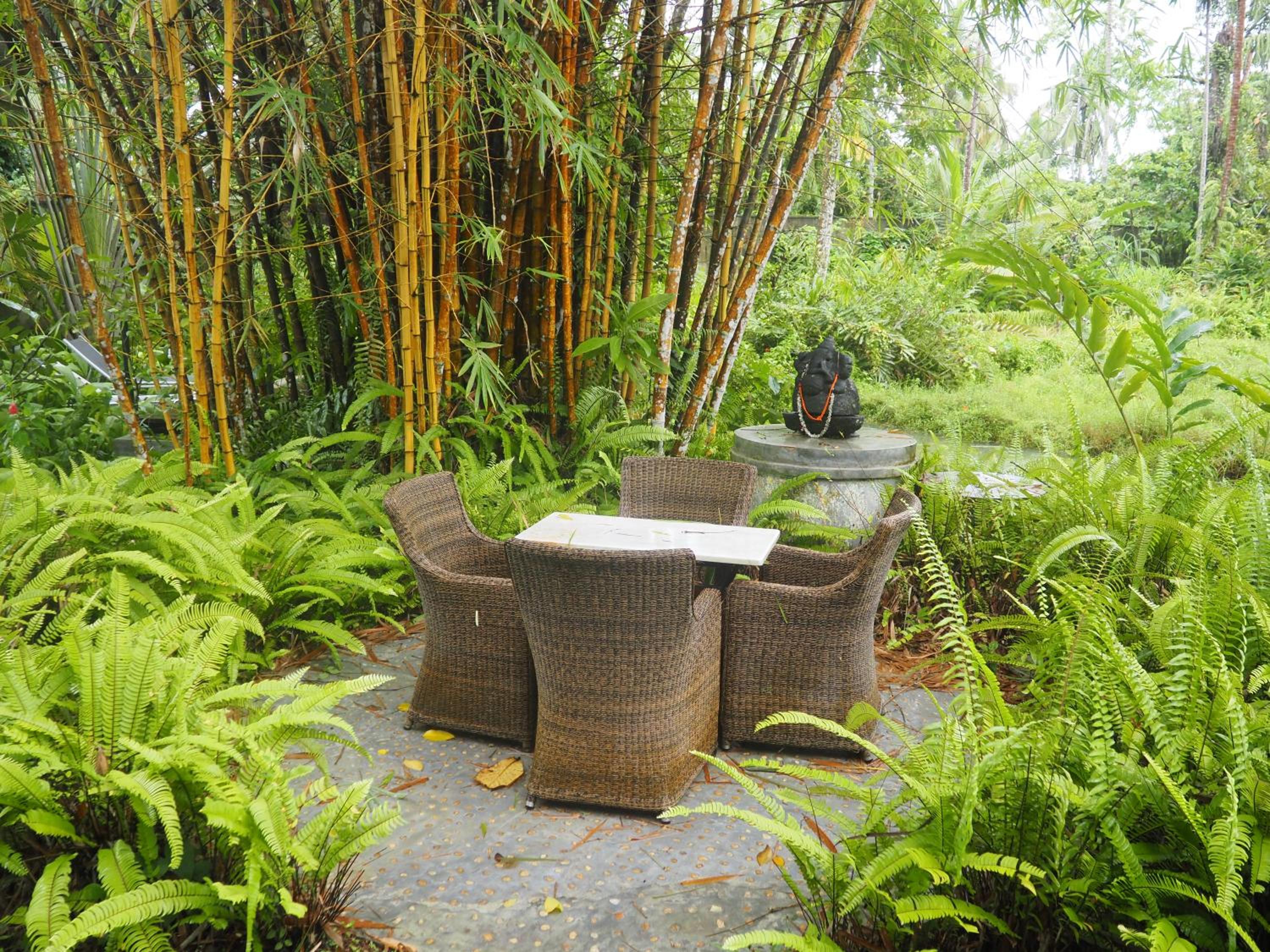 Licuala Luxury Jungle Bungalows