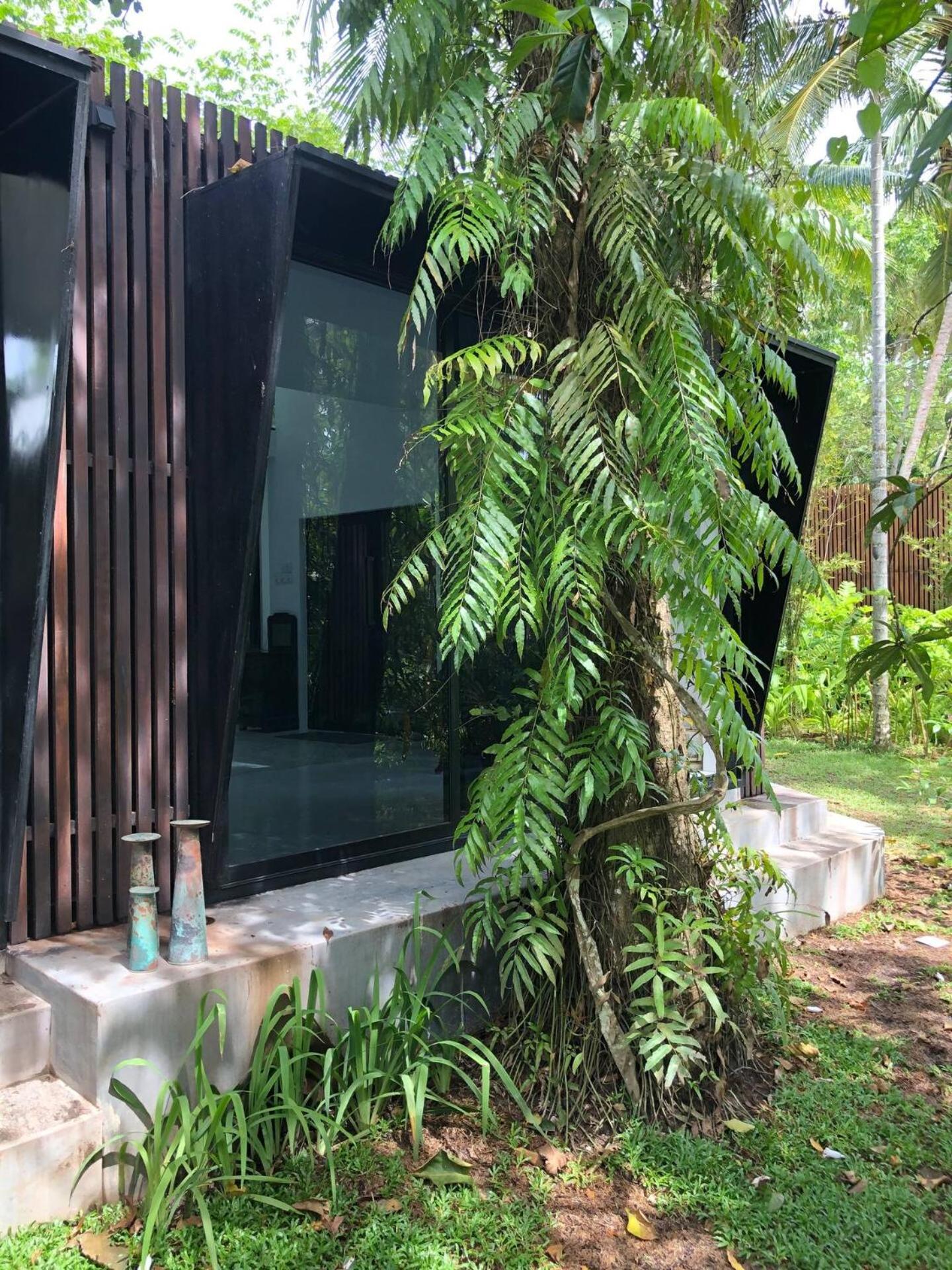 Licuala Luxury Jungle Bungalows
