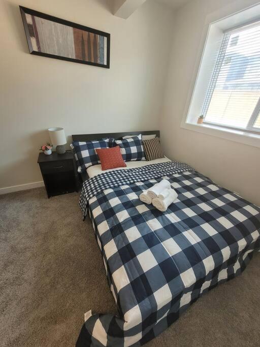 Cozy brand new 2 bedroom suite in Calgary