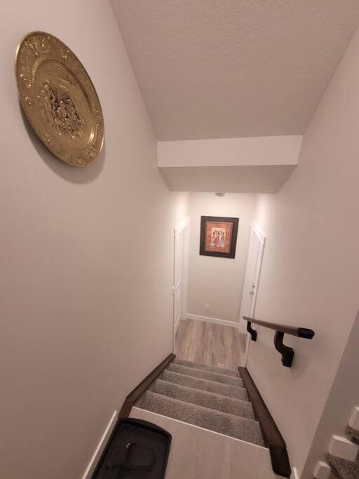Cozy brand new 2 bedroom suite in Calgary