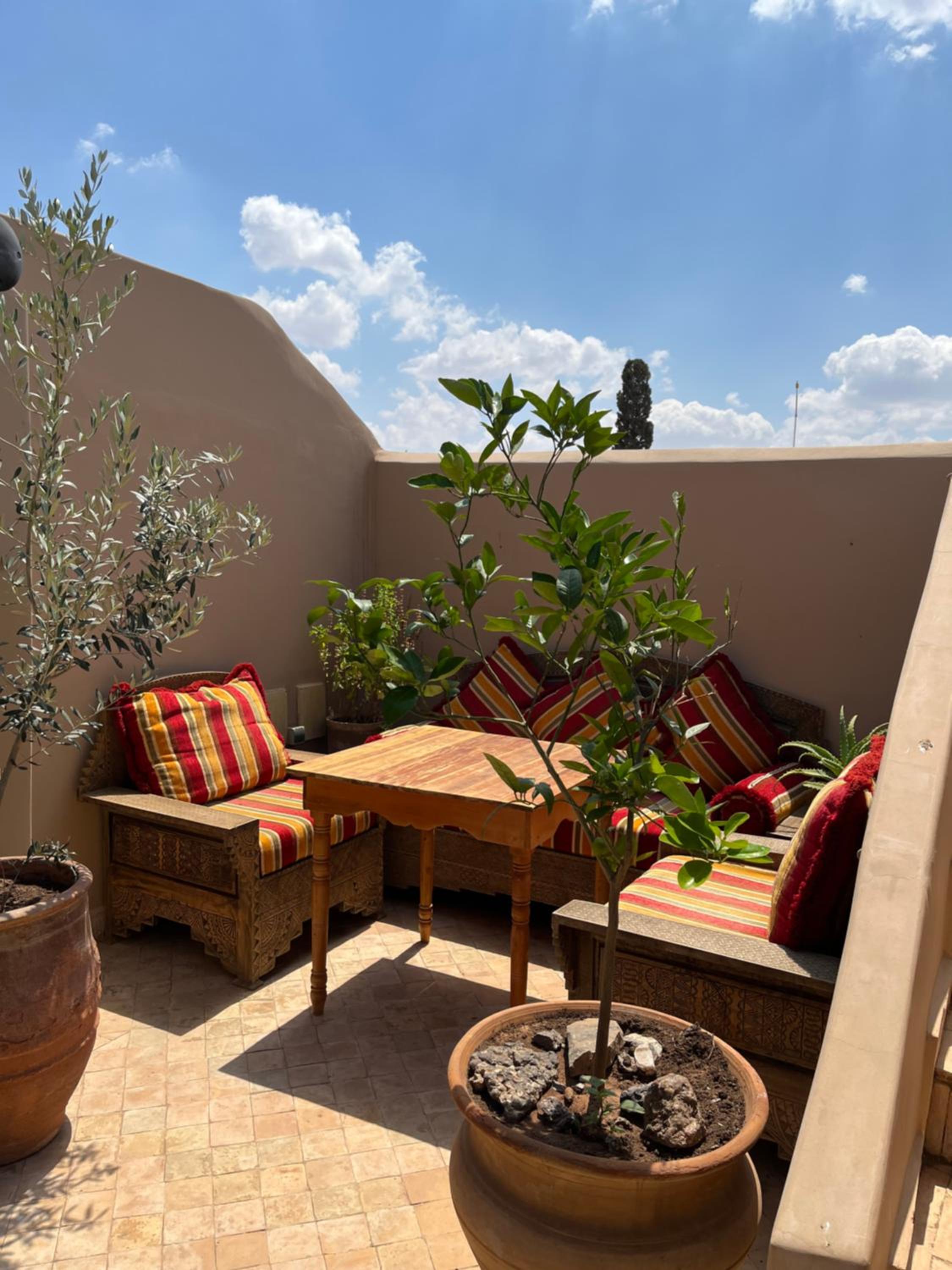 balance & terrace