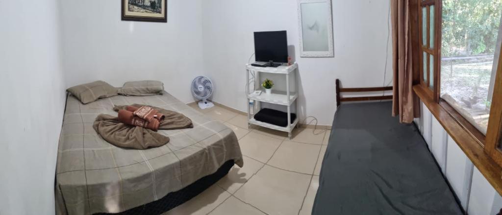 Photo 36