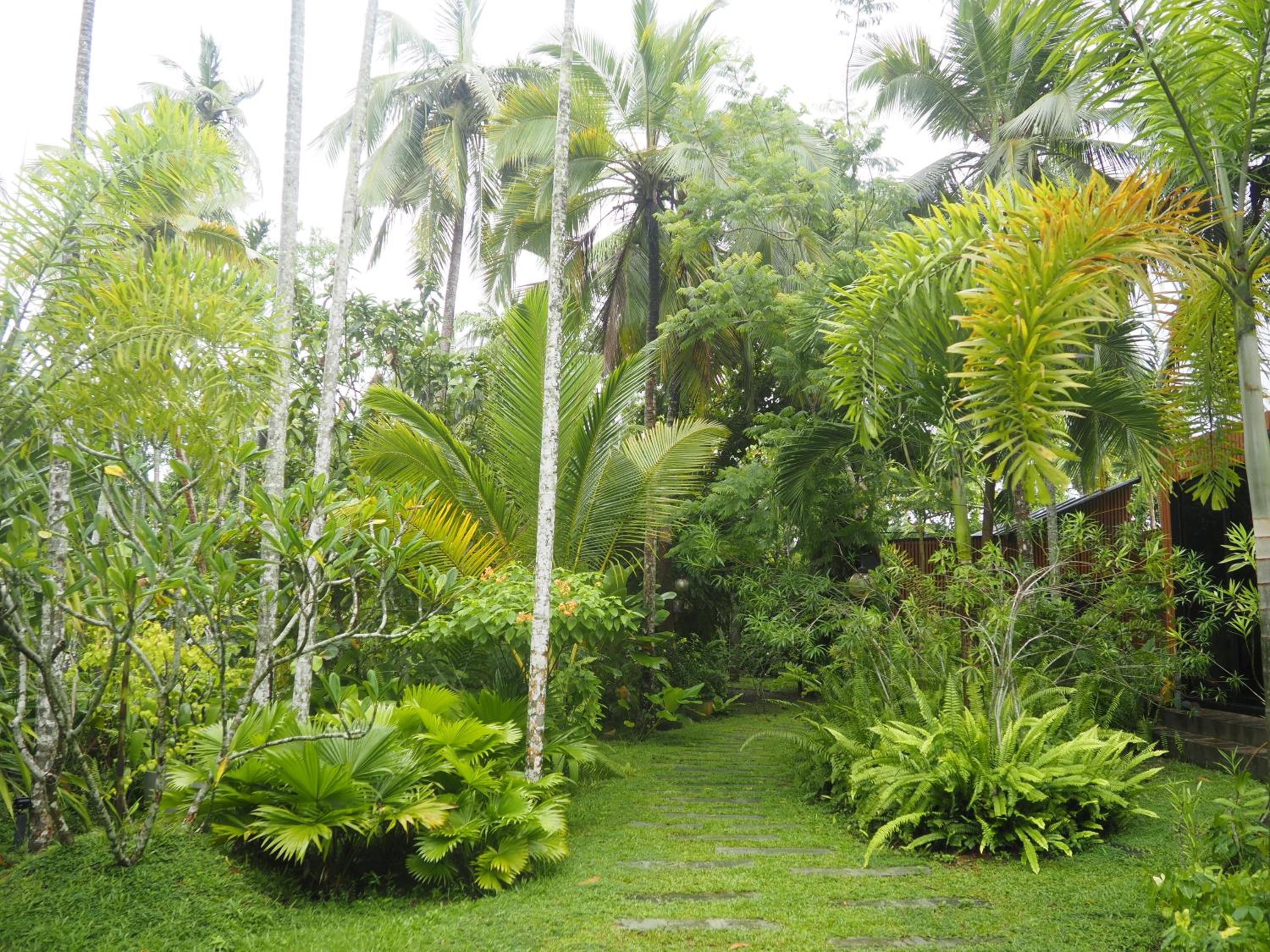 Licuala Luxury Jungle Bungalows