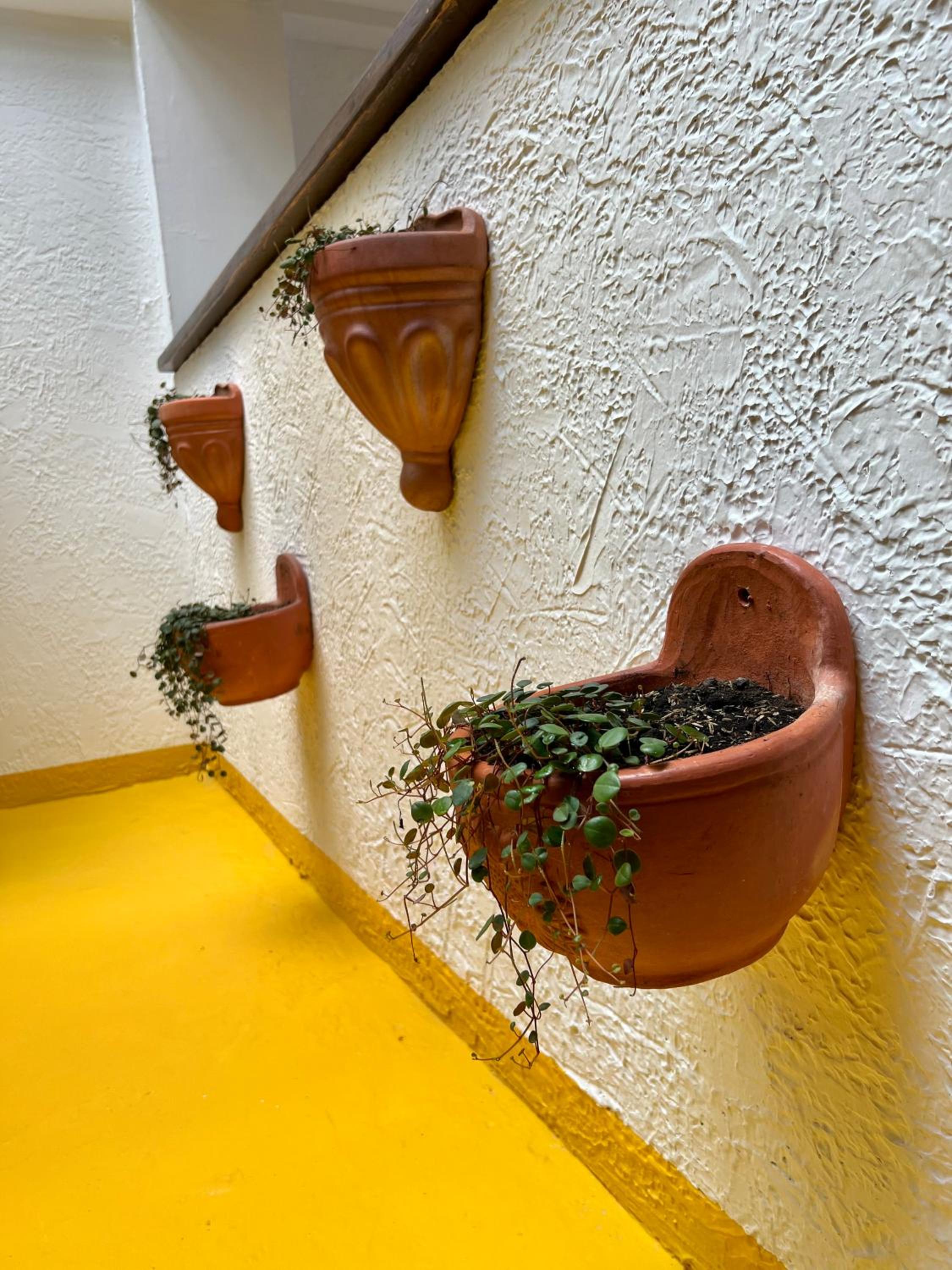 OPE Suites Usaquen