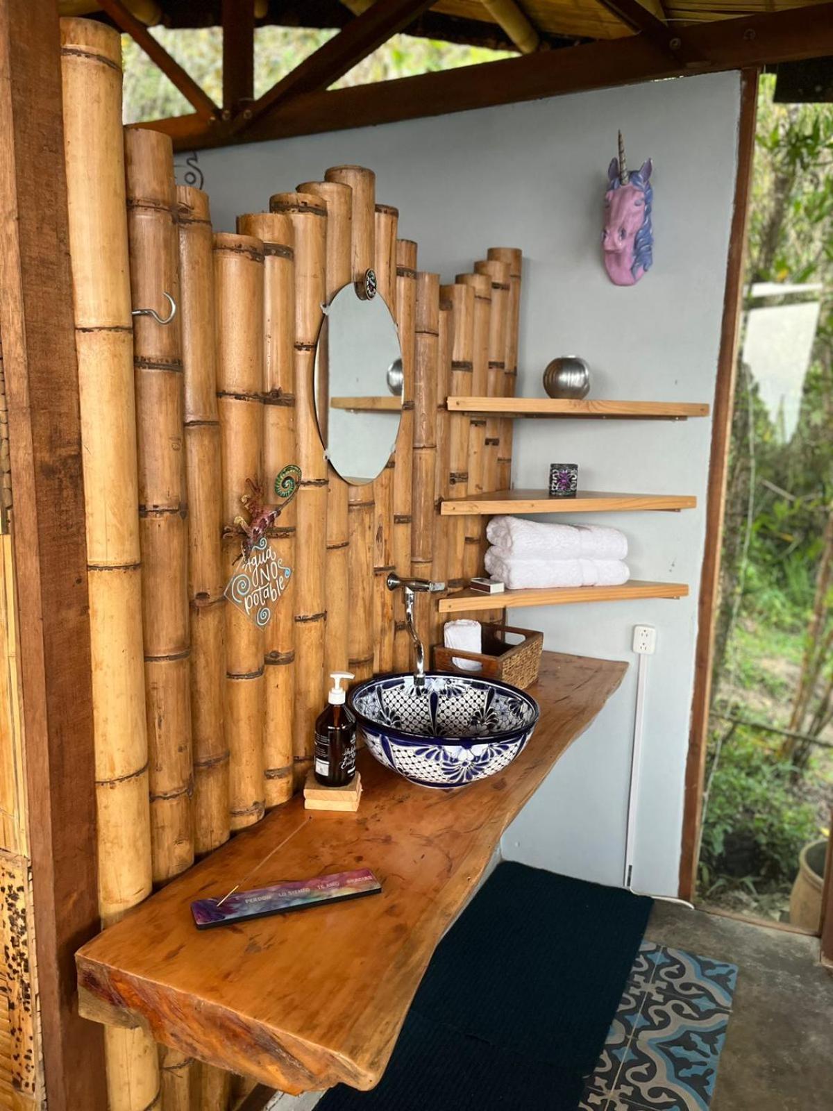 Luna Nueva Eco