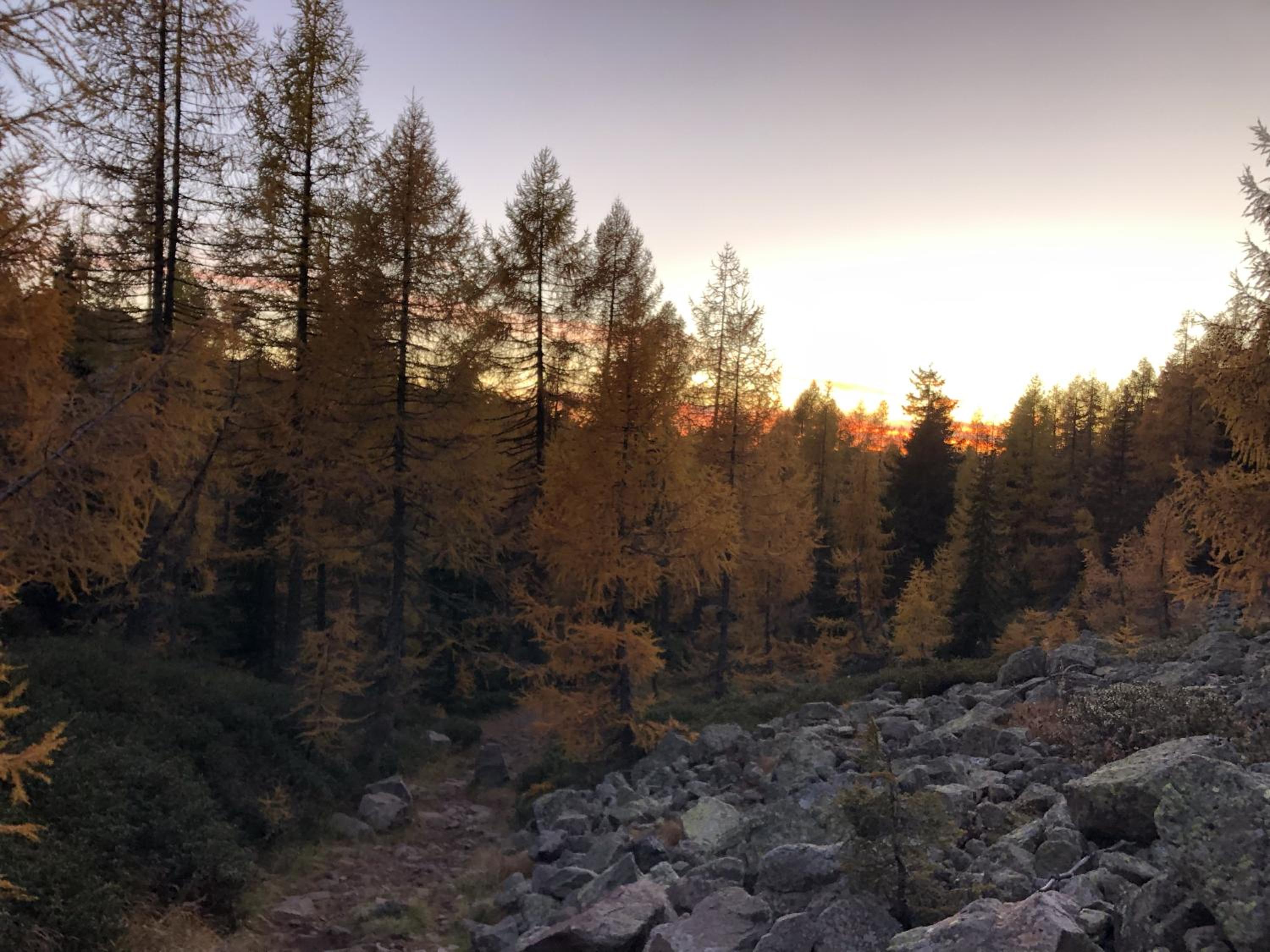 Alloggio Turistico La Predòlcia