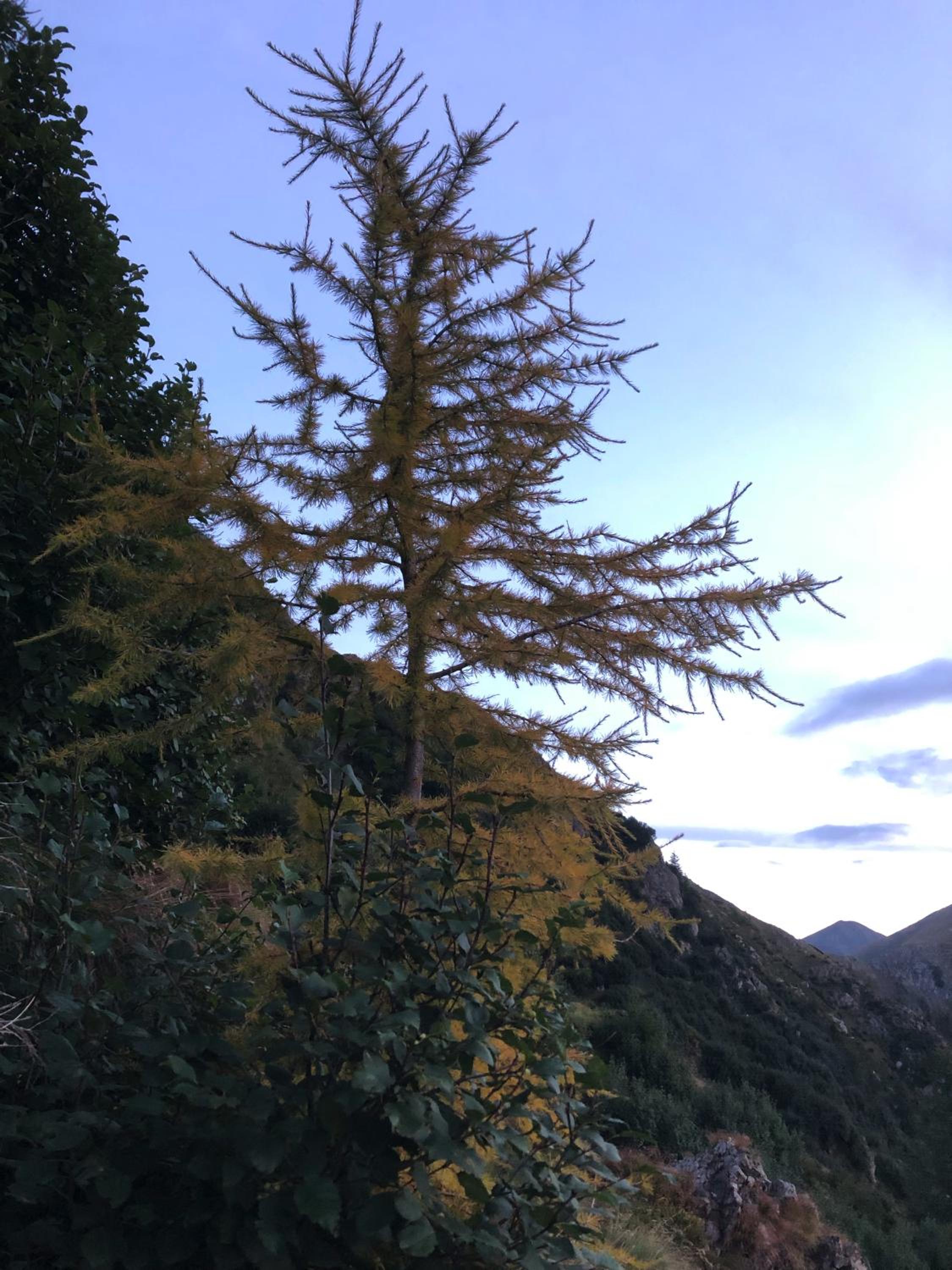 Alloggio Turistico La Predòlcia