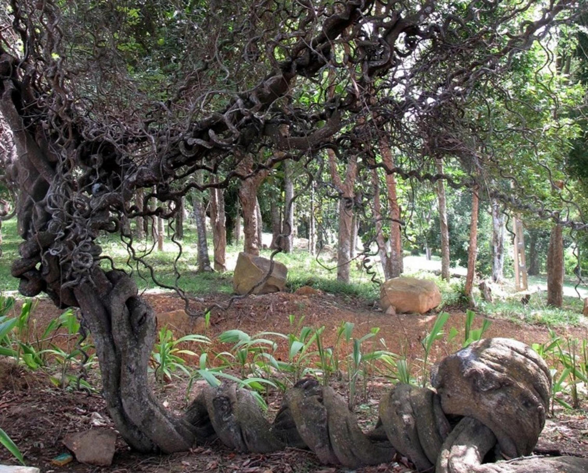 Sea Heart House on Koggala Lake
