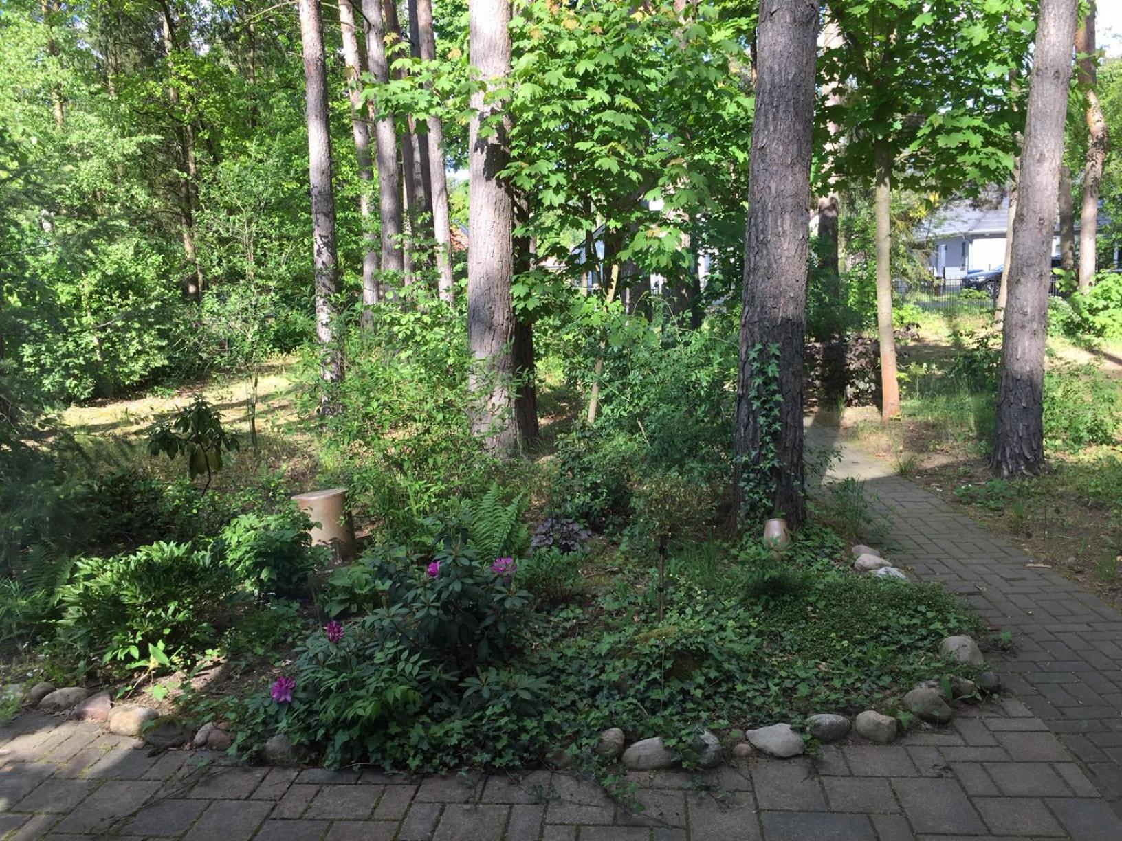 Wald und Wohlsein