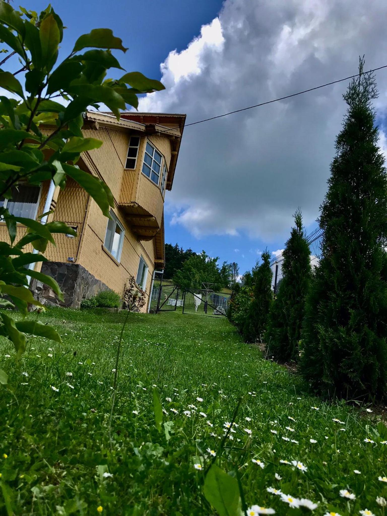 Photo 39