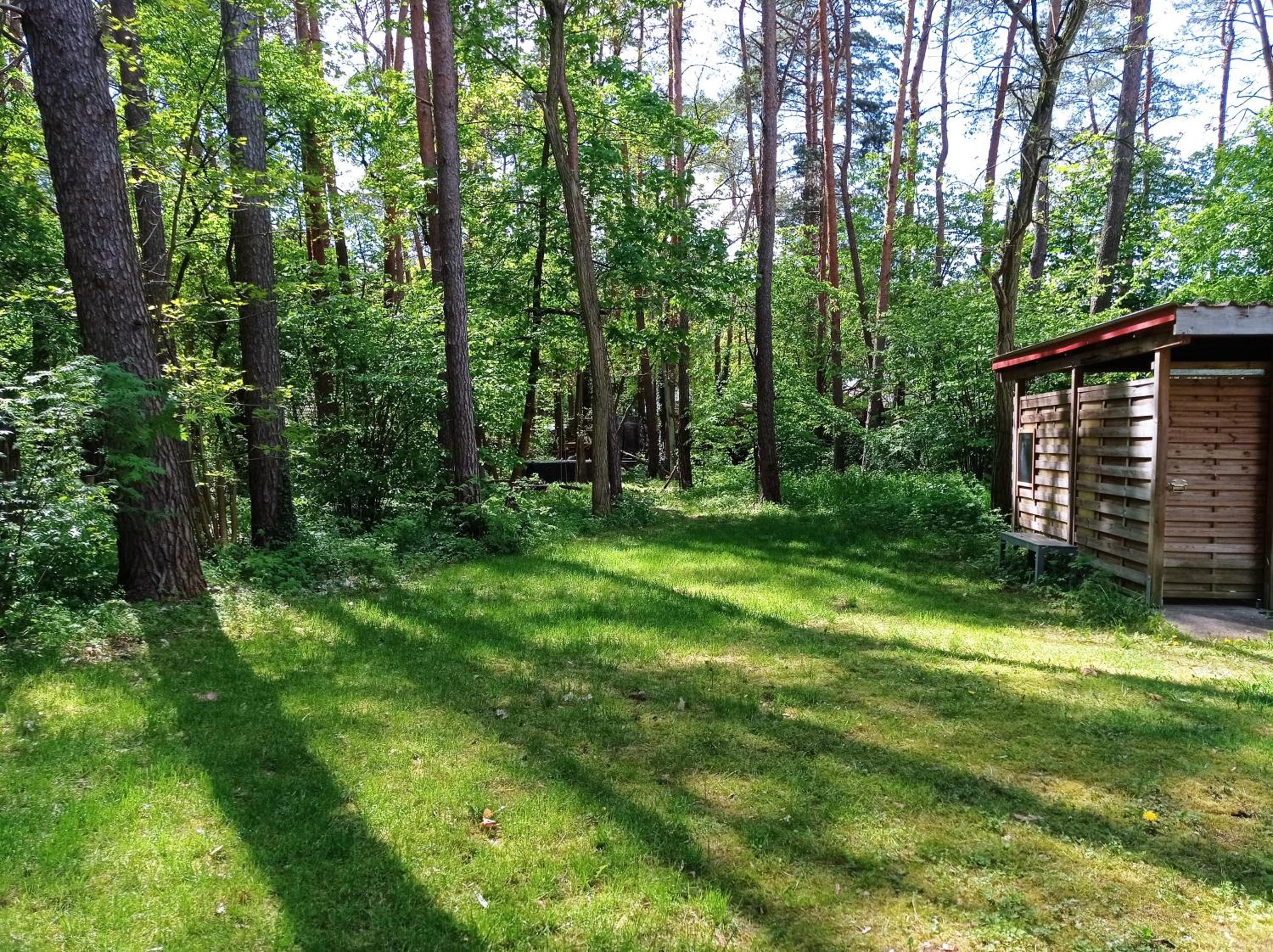 Wald und Wohlsein