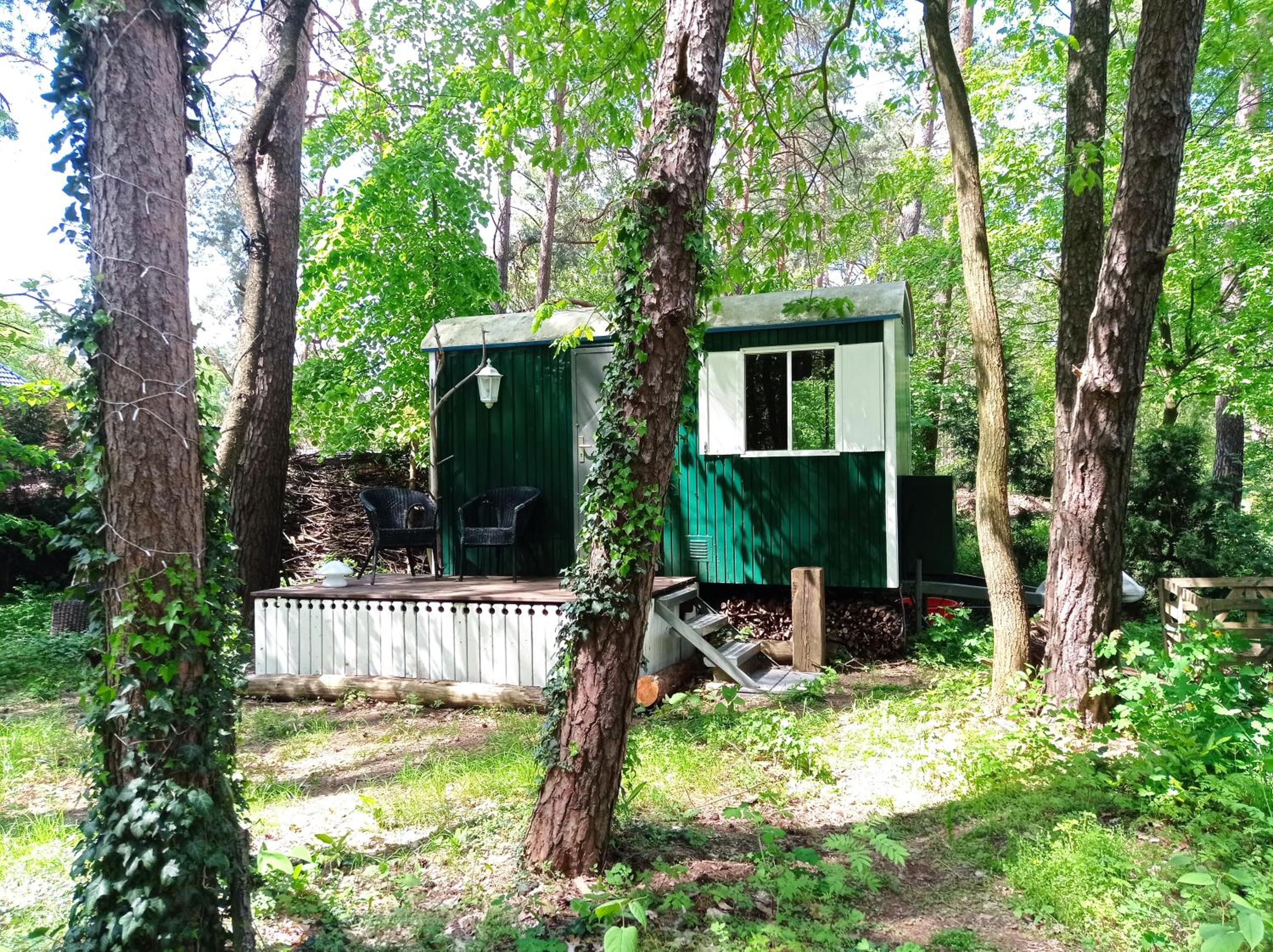 Wald und Wohlsein