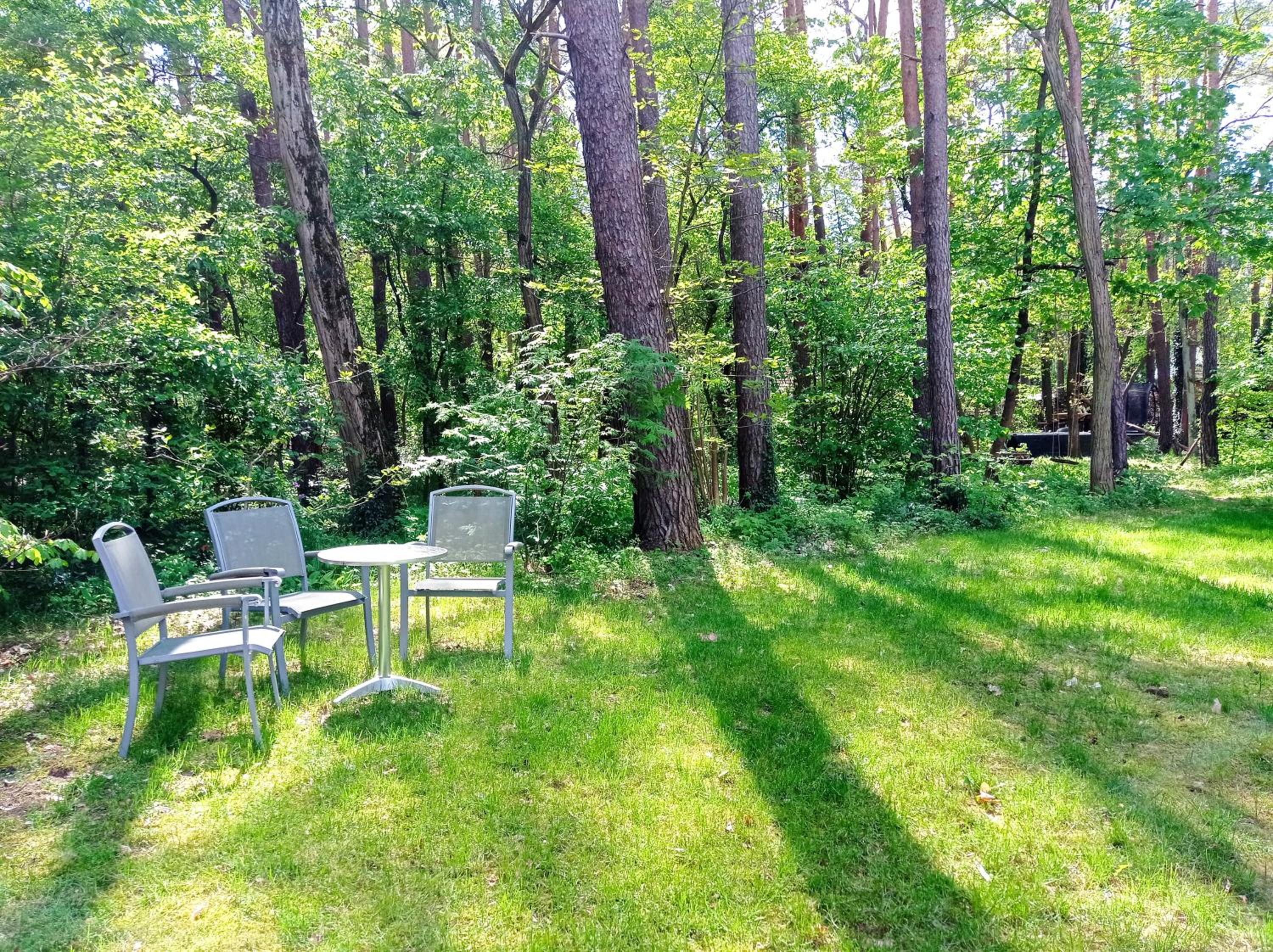 Wald und Wohlsein