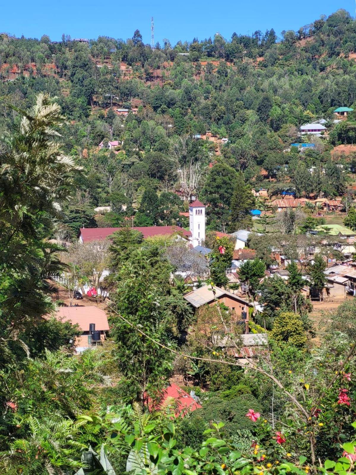 Steven and Dayness homestay view 3