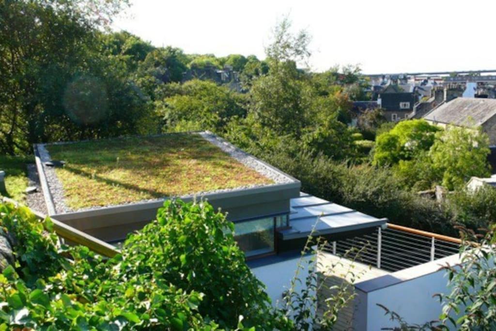 roof