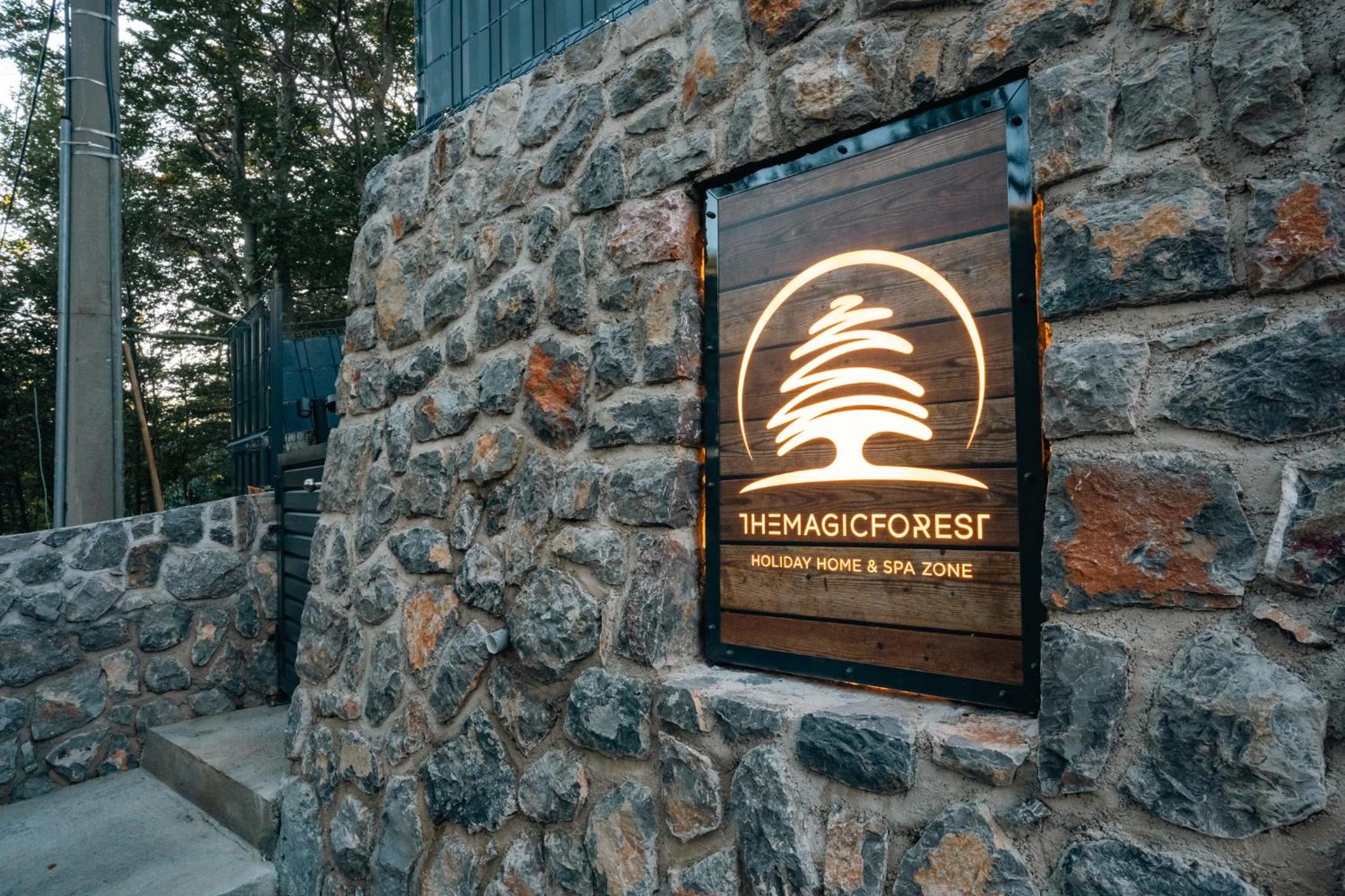The Magic Forest - Holiday Home & Spa Zone Platak view 5