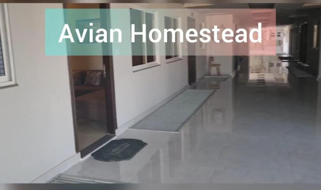 Avian Homestead