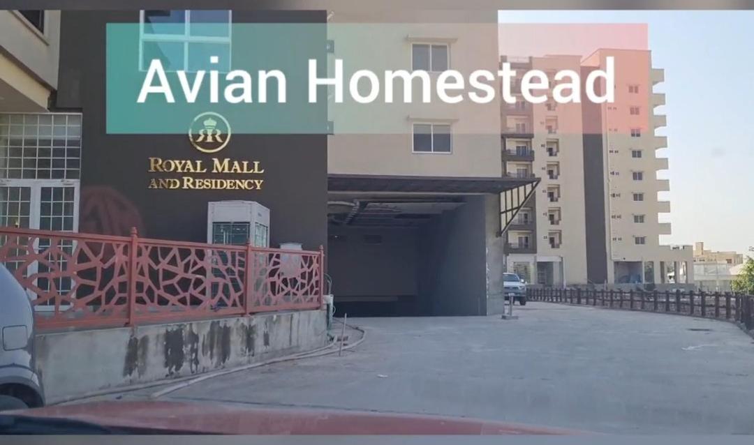 Avian Homestead