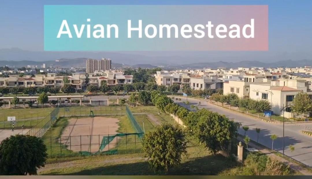 Avian Homestead