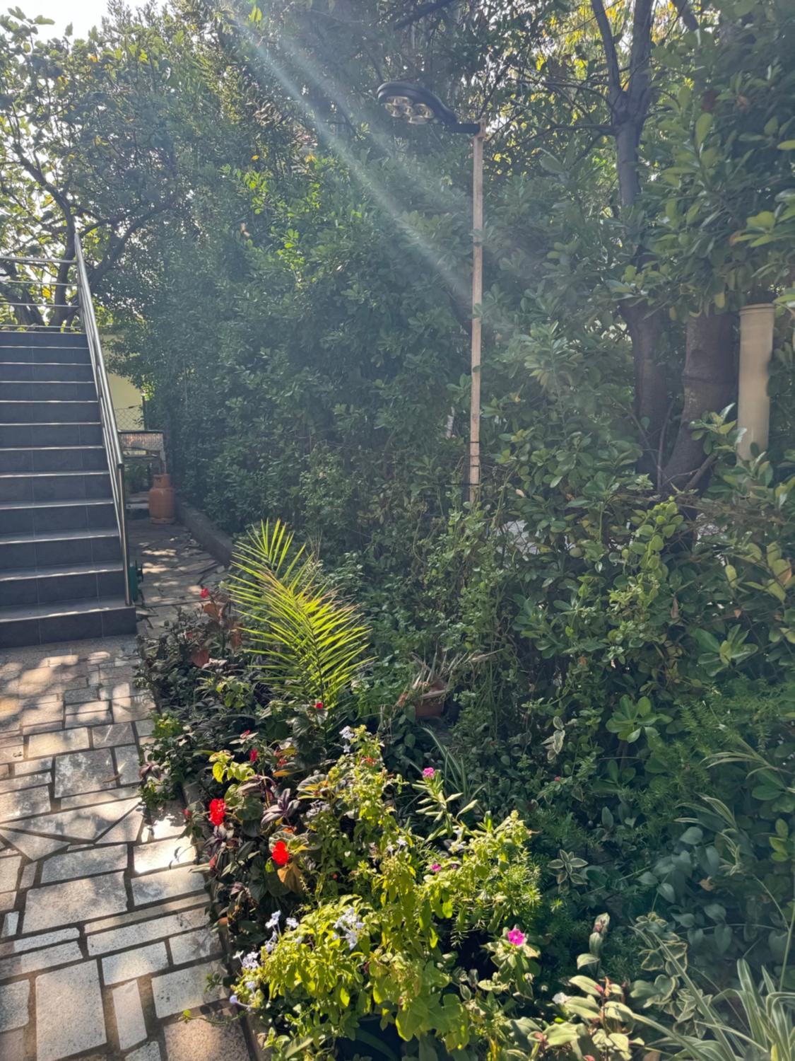 Photo 21