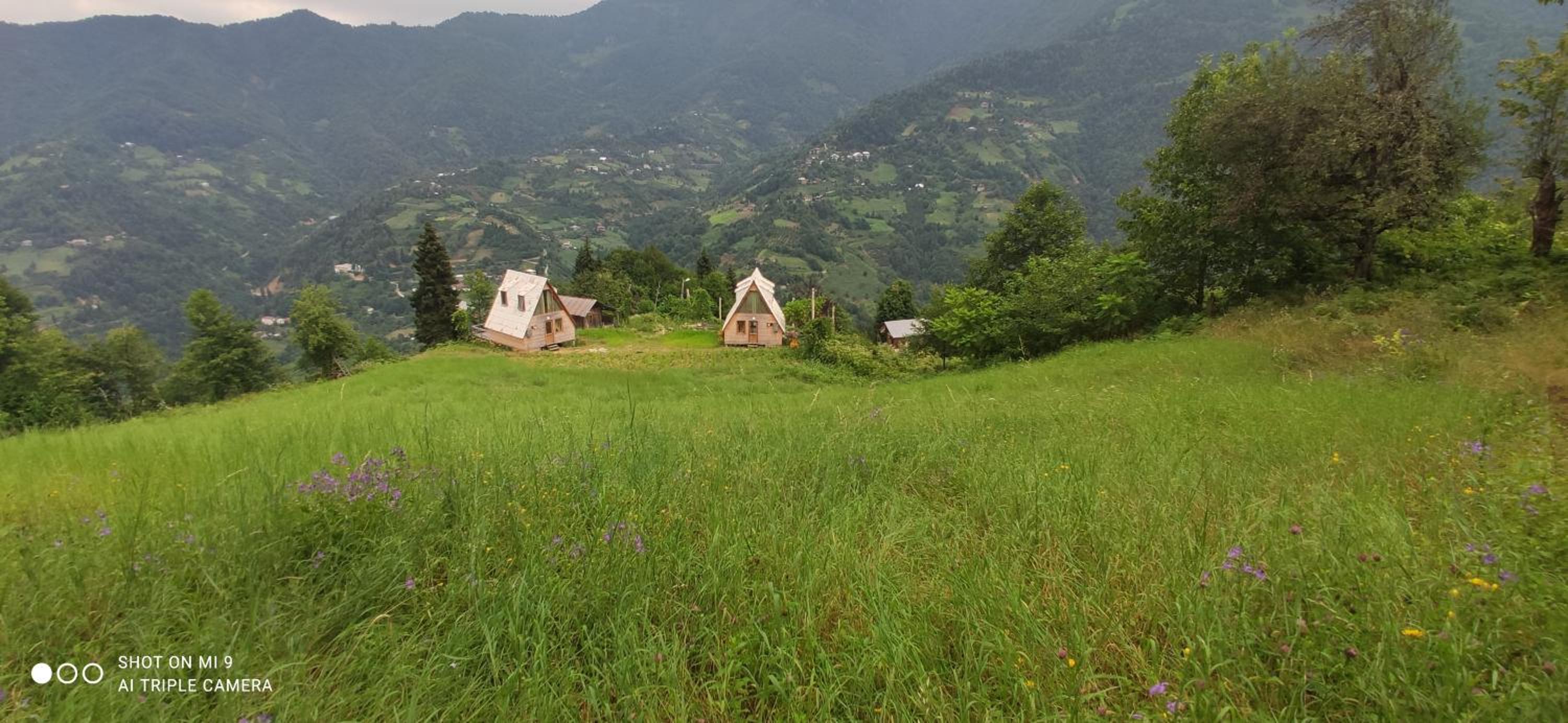 GREEN GUNDAURI