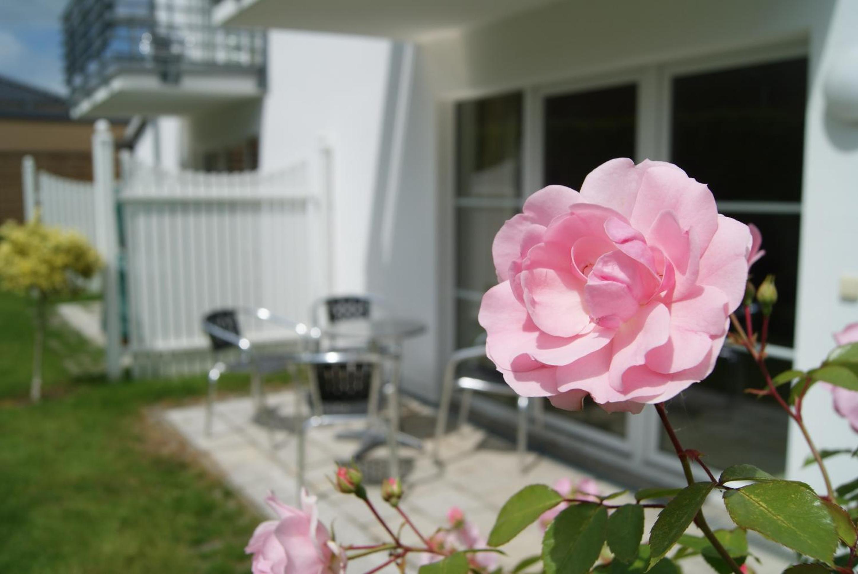 Ferienwohnung im Haus Katharina