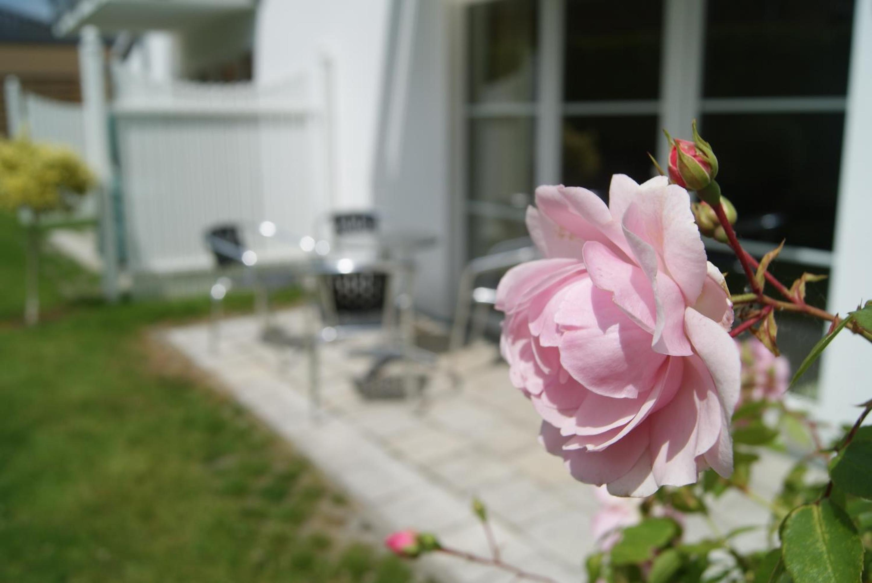Ferienwohnung im Haus Katharina