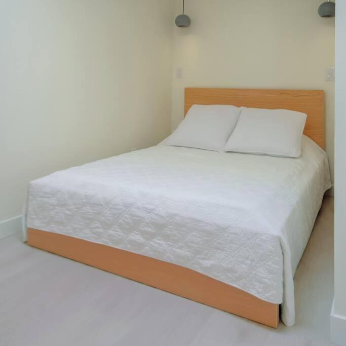Newly Renovated 2 Bedroom Condo in Japantown! Near Railtown & Gastown!