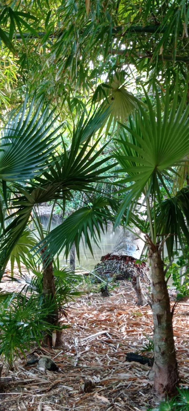 Animal Paradise