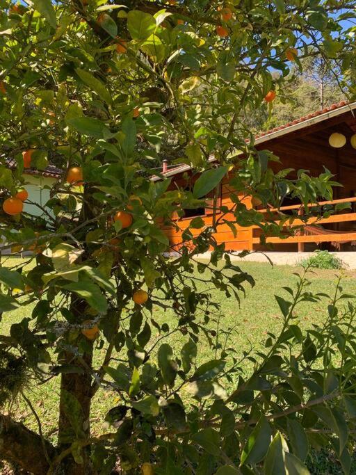 Casa em Visconde de Mauá - Vale do Alcantilado