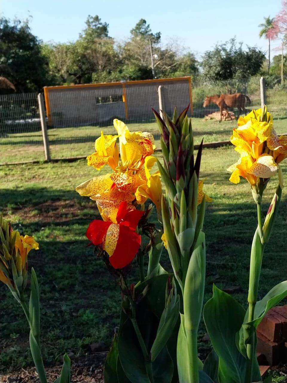 CABAÑA IVY PORÁ