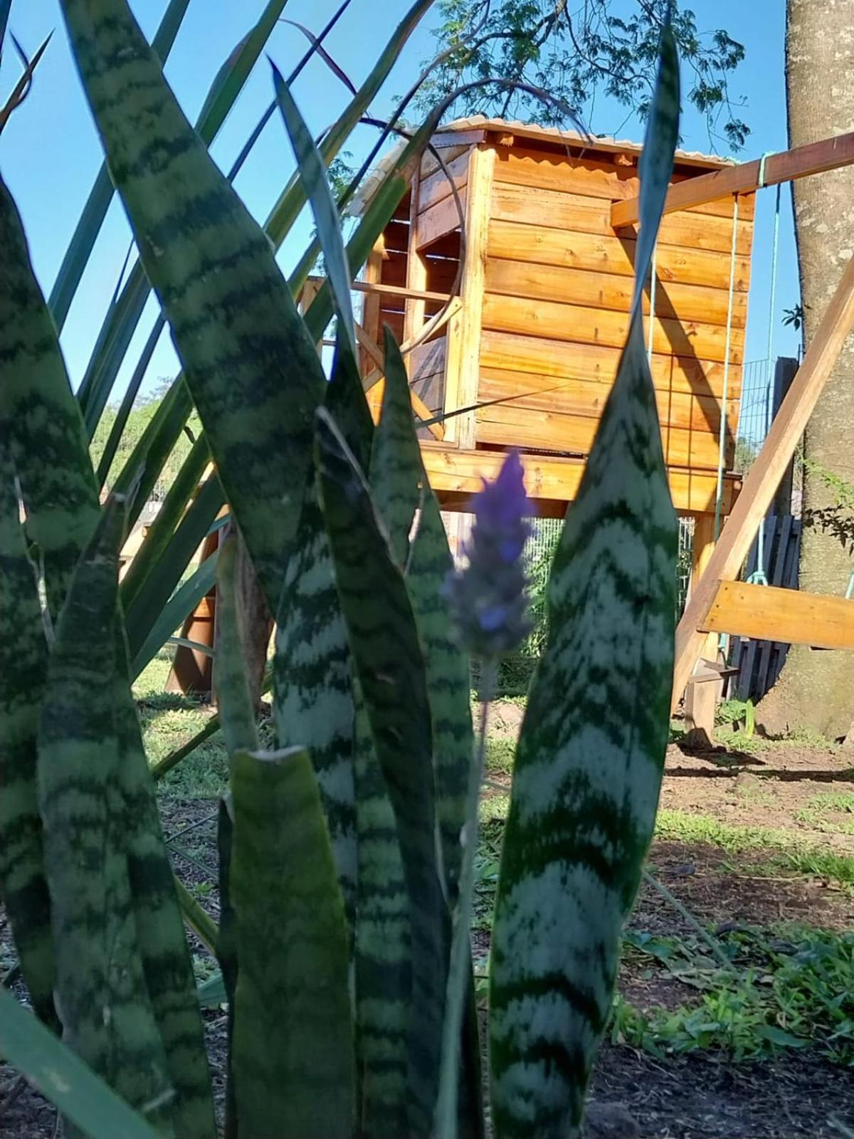 CABAÑA IVY PORÁ
