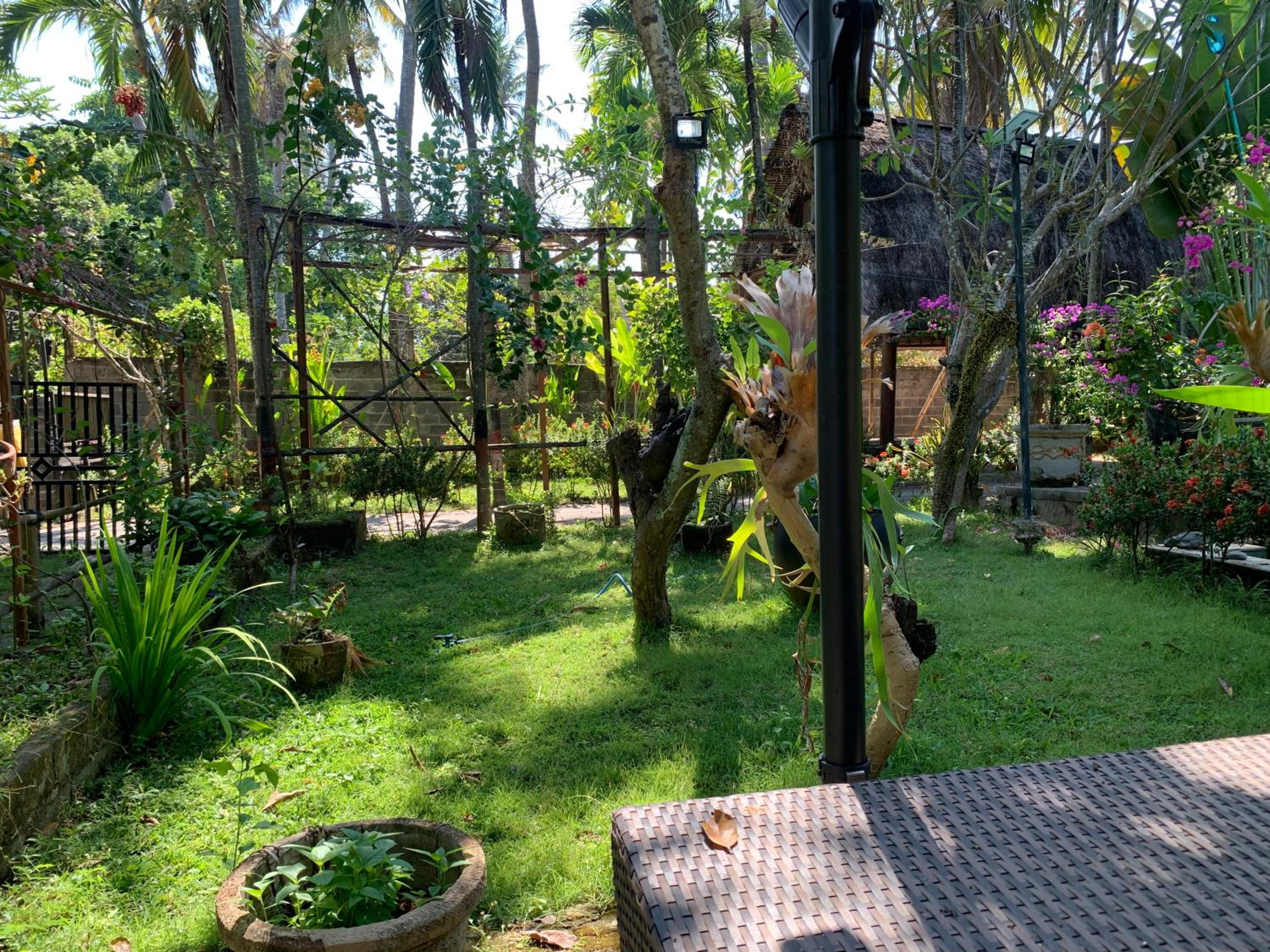 Studio Lumbung