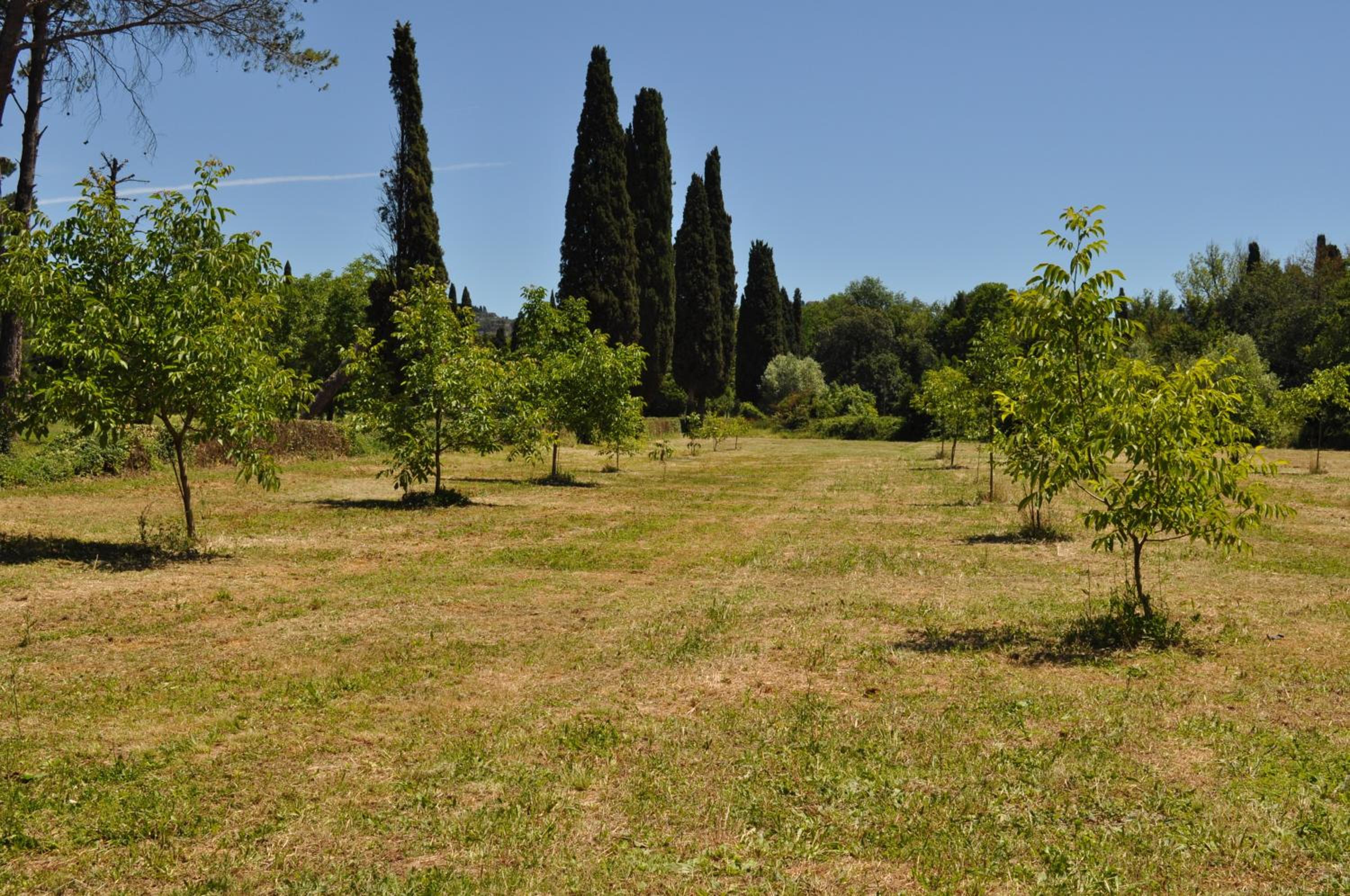 Visconte Apartment