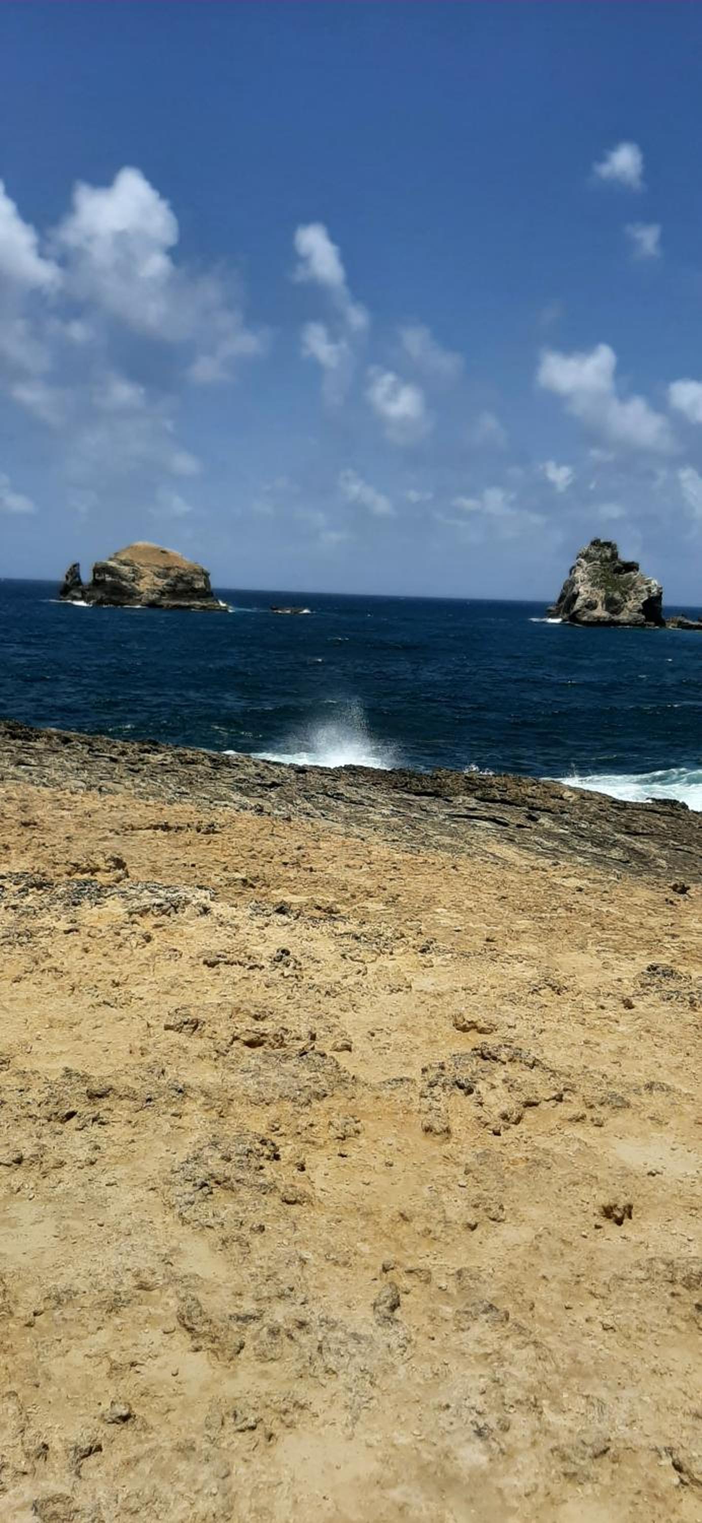 Zen paradise