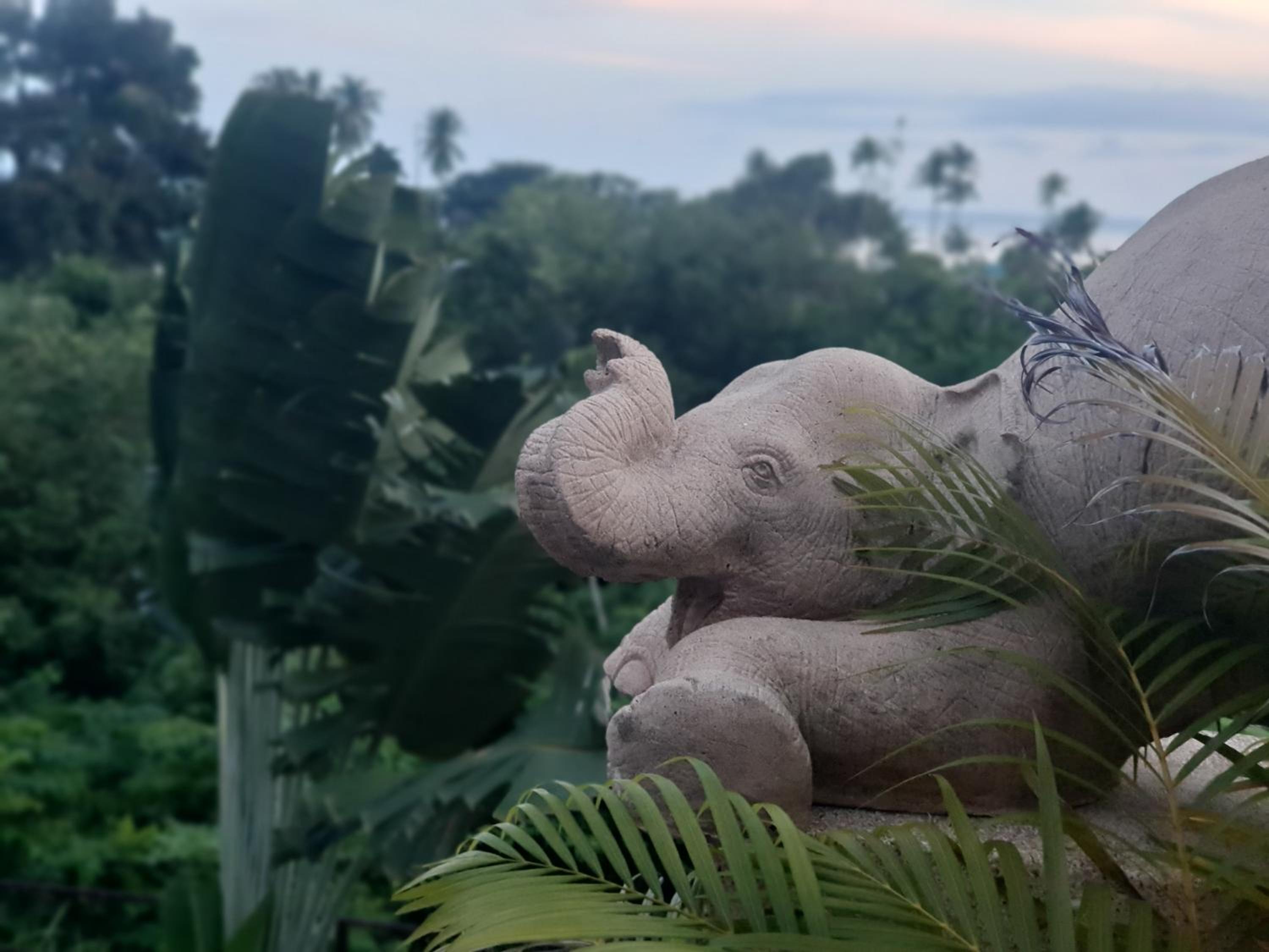 Pink House Guest House Lamai - Pool & Sea View