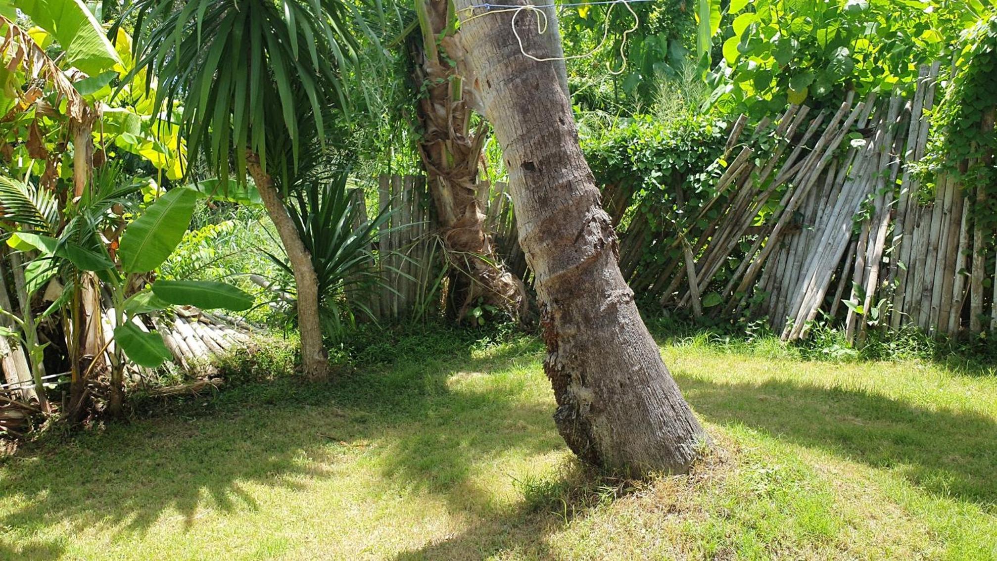 Pink House Guest House Lamai - Pool & Sea View