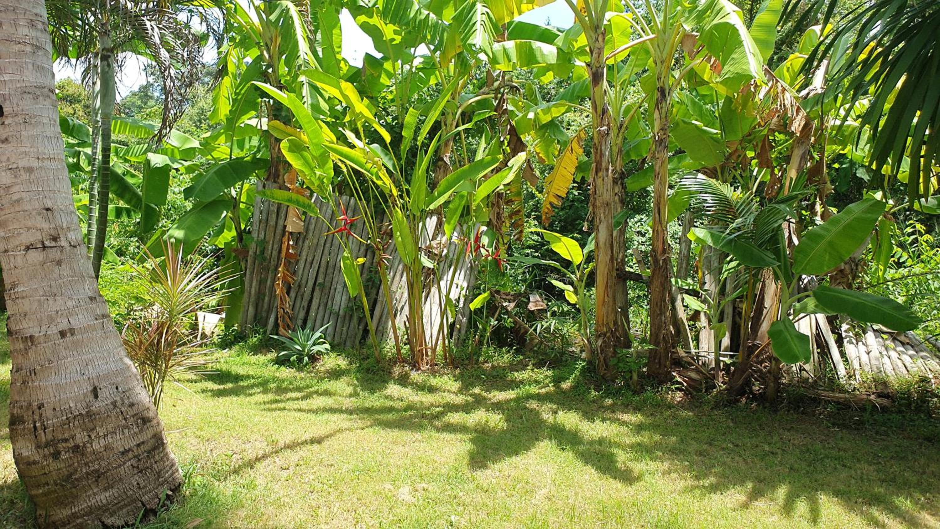 Pink House Guest House Lamai - Pool & Sea View