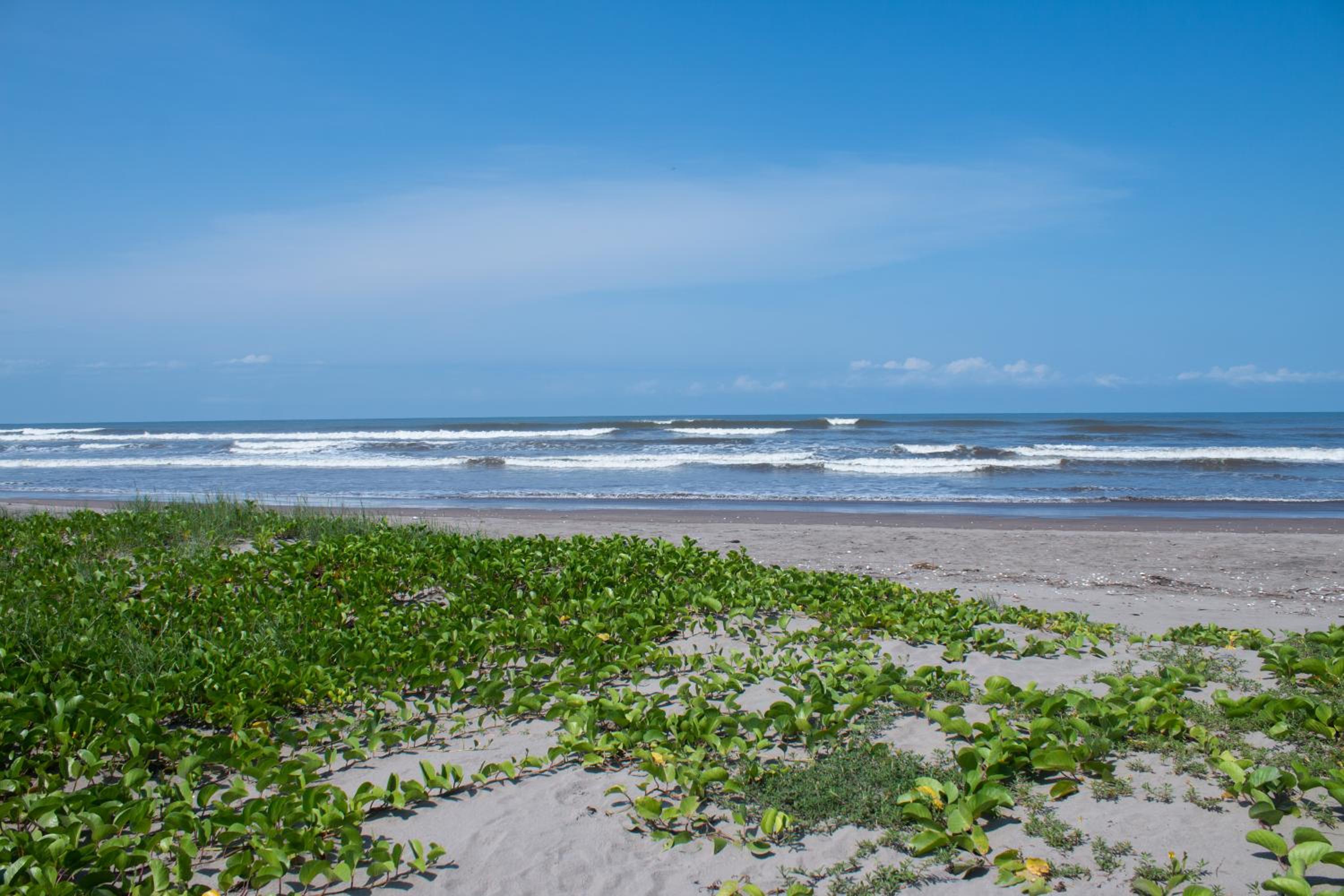 Rancho Alegre / Playa Novillero view 2